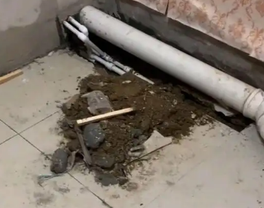 余江卫生间漏水检测哪家好